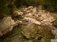 2025-07-27 M. Pelago e Lacs Bessons 238